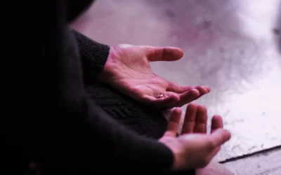 Palmeral de Libertad.