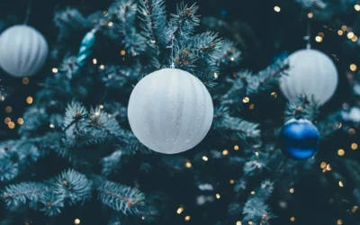 Sé un buen administrador.