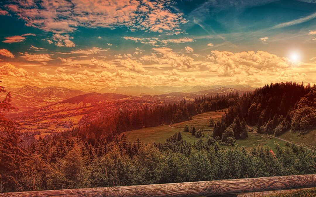 Vive atento a la provisión de Dios