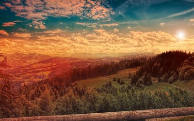 Vive atento a la provisión de Dios